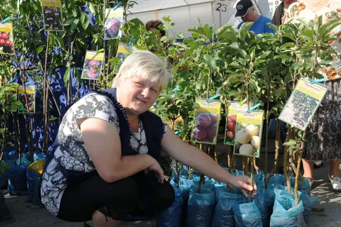 В Ярославле начала работу XV межрегиональная выставка «Сады». Фоторепортаж