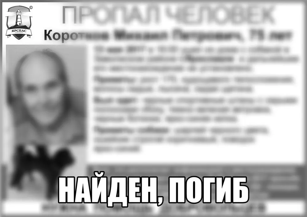 Пропавшего дедушку с собакой нашли мертвым недалеко от Ярославля