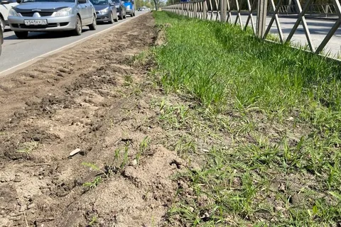 Ярославцы понадеялись на расширение проспекта Авиаторов