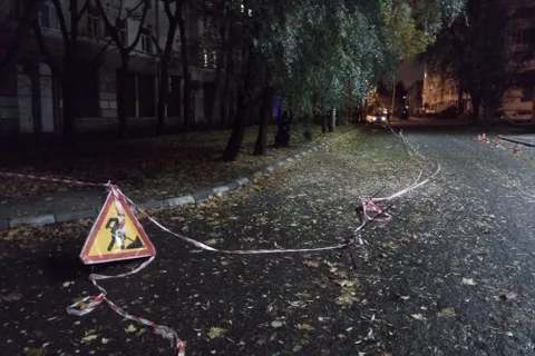 В Ярославле для организации парковки вырубили клены