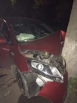 Пятеро пострадавших: в Ярославле легковушка врезалась в дерево