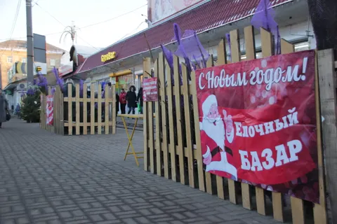 В Ярославле открылись ёлочные базары