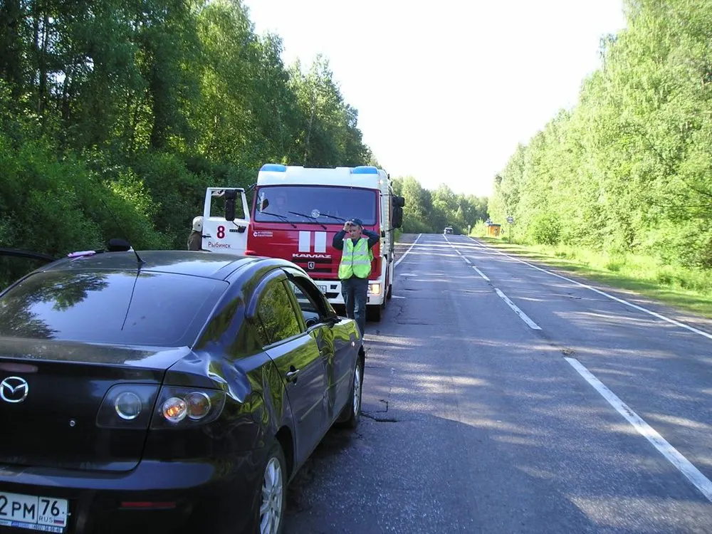 В Рыбинском районе «Мазда» сбила лося