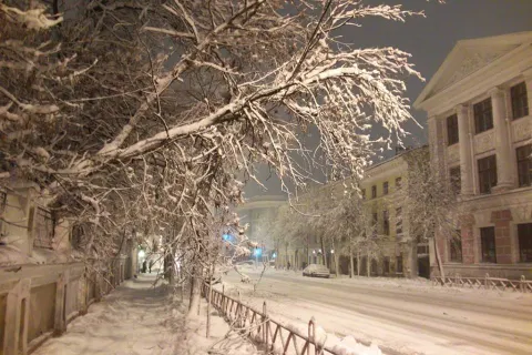В Ярославле за сутки выпала почти месячная норма осадков