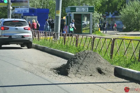 В Ярославле вдоль бордюров можно сажать картошку. Земли хватит