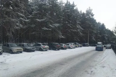 Ярославцы требуют организовать парковку около областной больницы