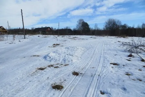 Деминский марафон Worldloppet-2014 в Рыбинске отменен. С фото