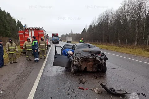 В Ярославской области за сутки шесть человек пострадали в ДТП
