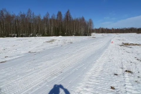 Деминский марафон Worldloppet-2014 в Рыбинске отменен. С фото