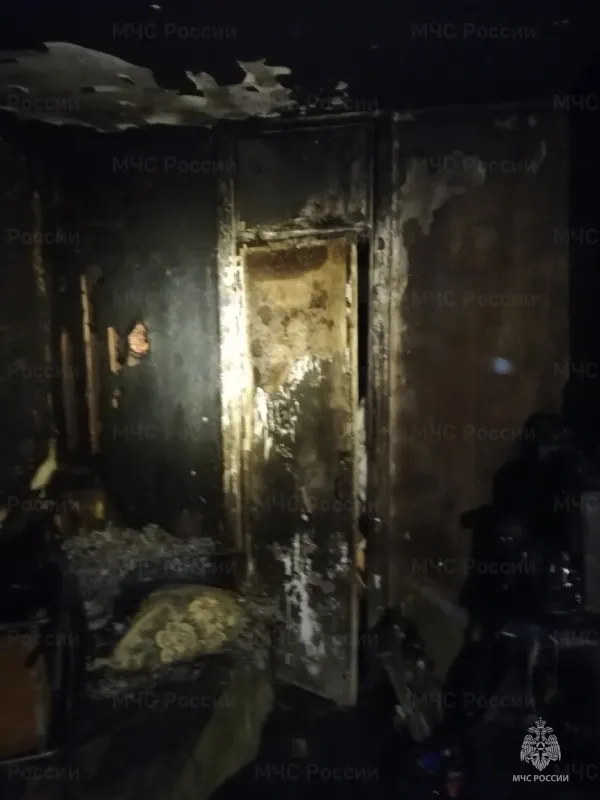 Следователи рассказали подробности гибели мальчика в пожаре в Ярославле