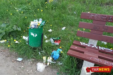 Власти Ярославля приучают брагинцев к свинству