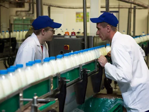 Прилавки Ярославля завалены некачественной молочной продукцией