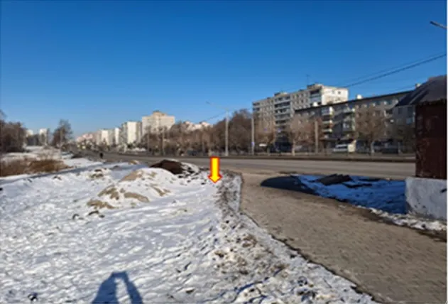 В ярославском парке хотят поставить автомат для кормления птиц