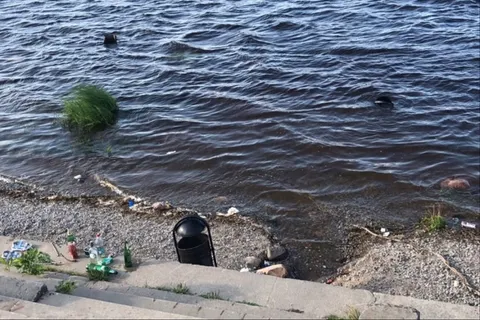 В Рыбинске не на шутку разгулялись малолетние вандалы