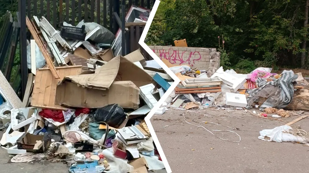 В Ярославле назвали самый проблемный район по мусорным свалкам