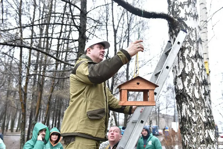 Во время субботника ярославцы ликвидировали более семисот несанкционированных свалок