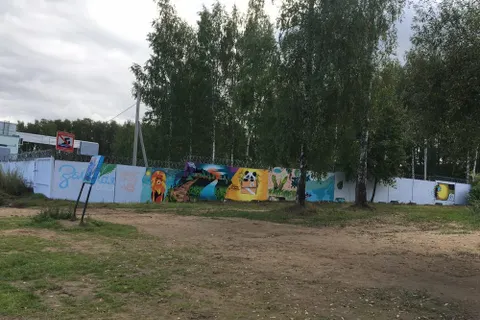 «Страна моей мечты» поселилась в Павловской роще Ярославля