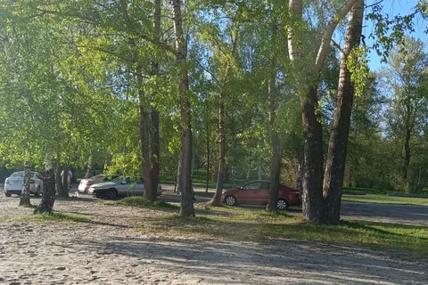 Ярославцы требуют убрать автомобили из парковой зоны в Подзеленье