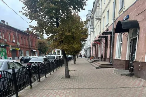 В центре Ярославля меценаты посадят новые деревья взамен спиленных