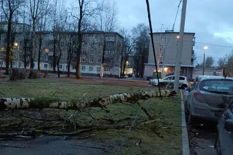 Более 280 энергетиков «Ярэнерго» ликвидируют последствия непогоды
