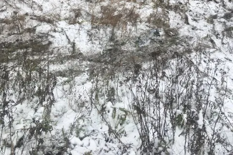 В Ярославской области начался вечер жестянщика: в ДТП есть пострадавшие