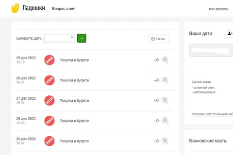 У ярославских школьников обнулились счета проекта «Ладошки»