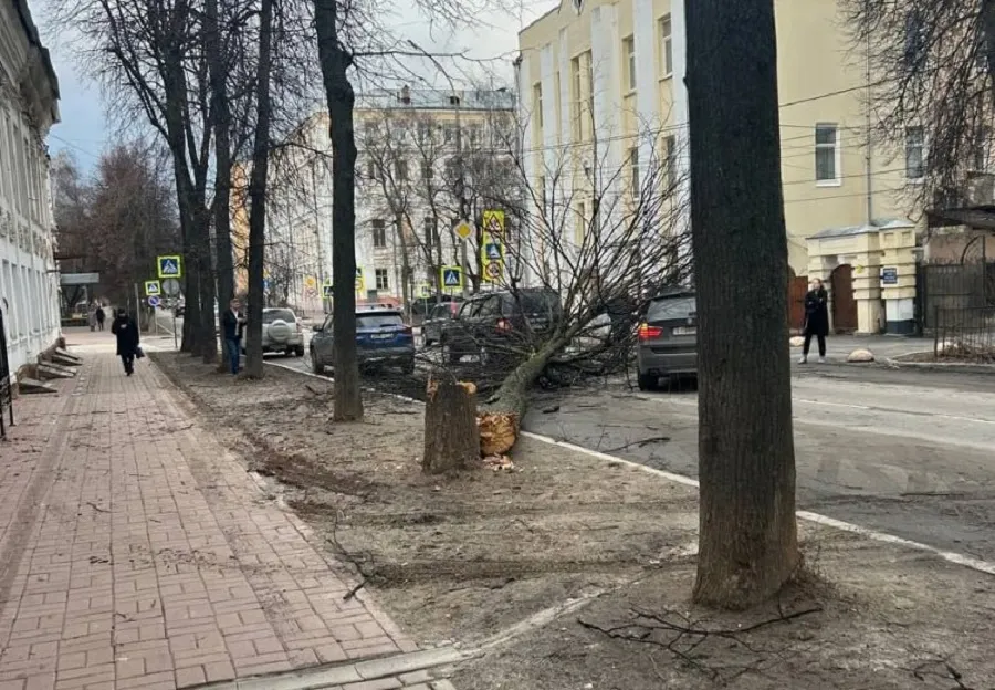Ярославцы сообщают о первых последствиях шторма