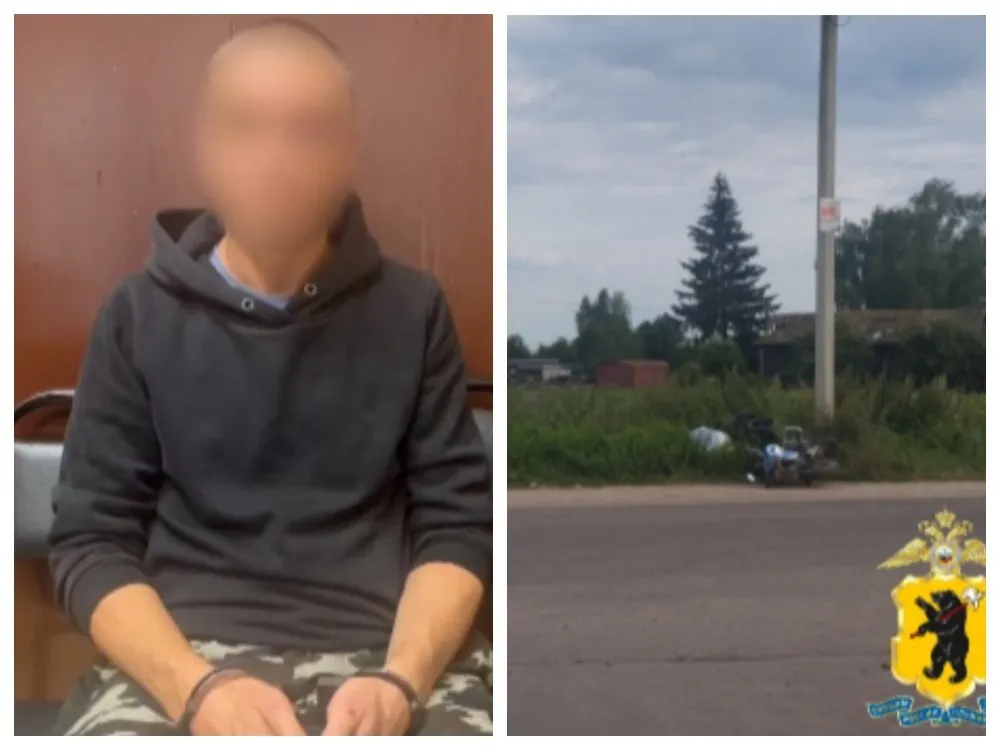 Полиция задержала виновника гибели пятимесячной девочки под Ростовом