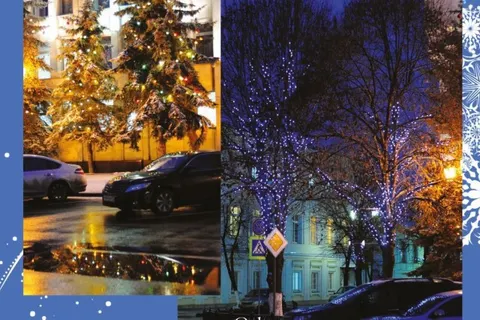 ​В Ярославле выбрана главная городская Новогодняя ёлка