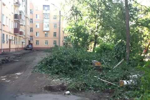 Во дворах Ярославля идет тотальная вырубка деревьев