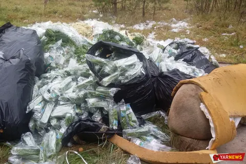 В лесу под Ярославлем разгрузилась фура одного из сетевых магазинов