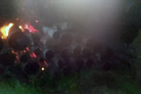 В Угличе Ярославской области сгорел штабель бревен