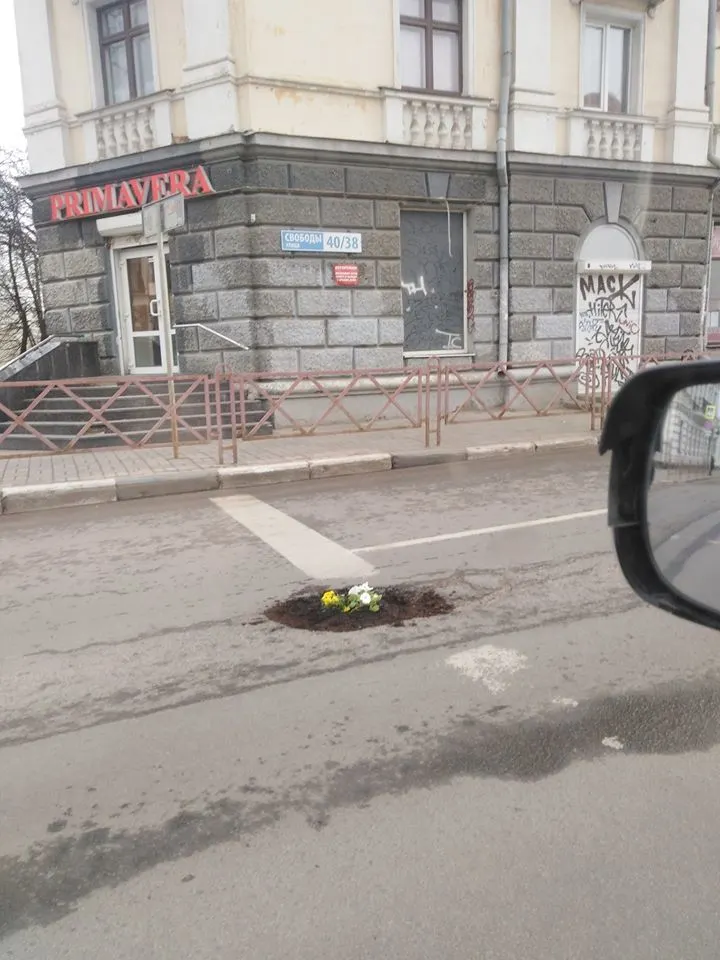 В центре Ярославля в дорожную яму посадили цветы