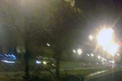 В Ярославле иномарка ночью врезалась в дерево