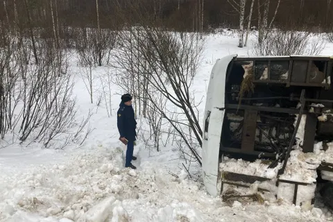 Появились фото перевернувшегося автобуса с детьми под Ростовом
