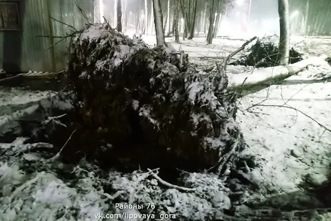 В Ярославле в благоустроенном парке падают деревья и столбы освещения
