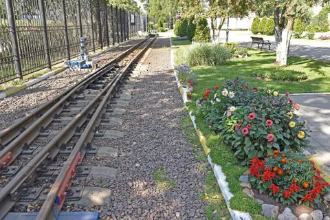 В конкурсе цветоводов принимают участие 10 тысяч ярославцев