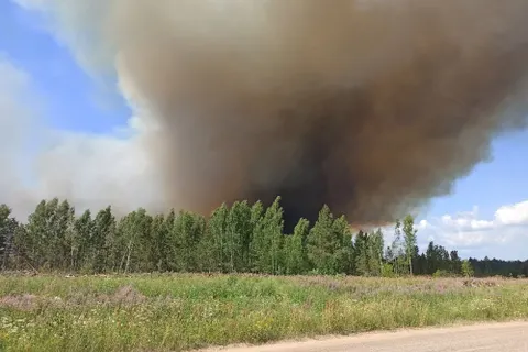 В Ярославской области бушует лесной пожар