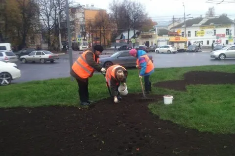 В Ярославле высаживают 20 тысяч луковиц тюльпанов