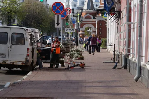 Власти Ярославля нашли цветочницы за 1,3 миллиона рублей