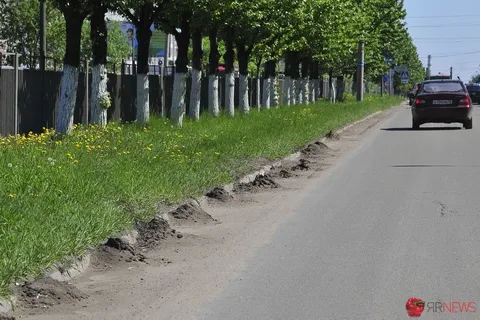 В Ярославле вдоль бордюров можно сажать картошку. Земли хватит