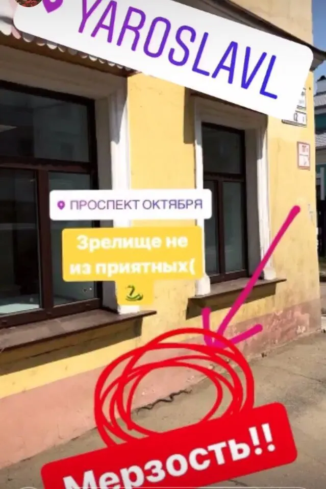 В Ярославле змея «заблудилась» на проспекте Октября 