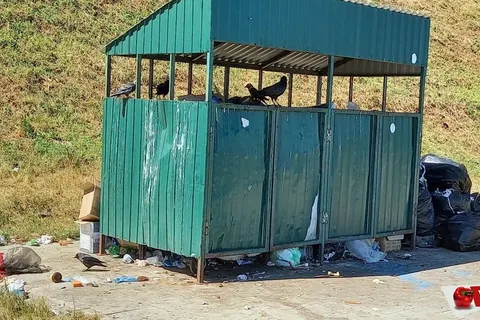 Лицо Ярославля: туристов, приплывающих на теплоходах, встречает помойка
