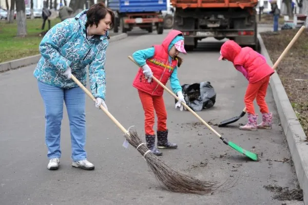 Общегородской субботник пройдет в Ярославле 2 сентября