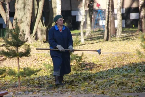 В Заволжском районе Ярославля устанавливают новый игровой комплекс для детей
