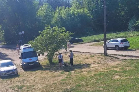 В Ярославле лошадь сбросила маленького ребенка