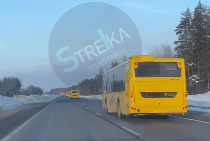Жители Ярославской области заметили новые «жёлтые автобусы»