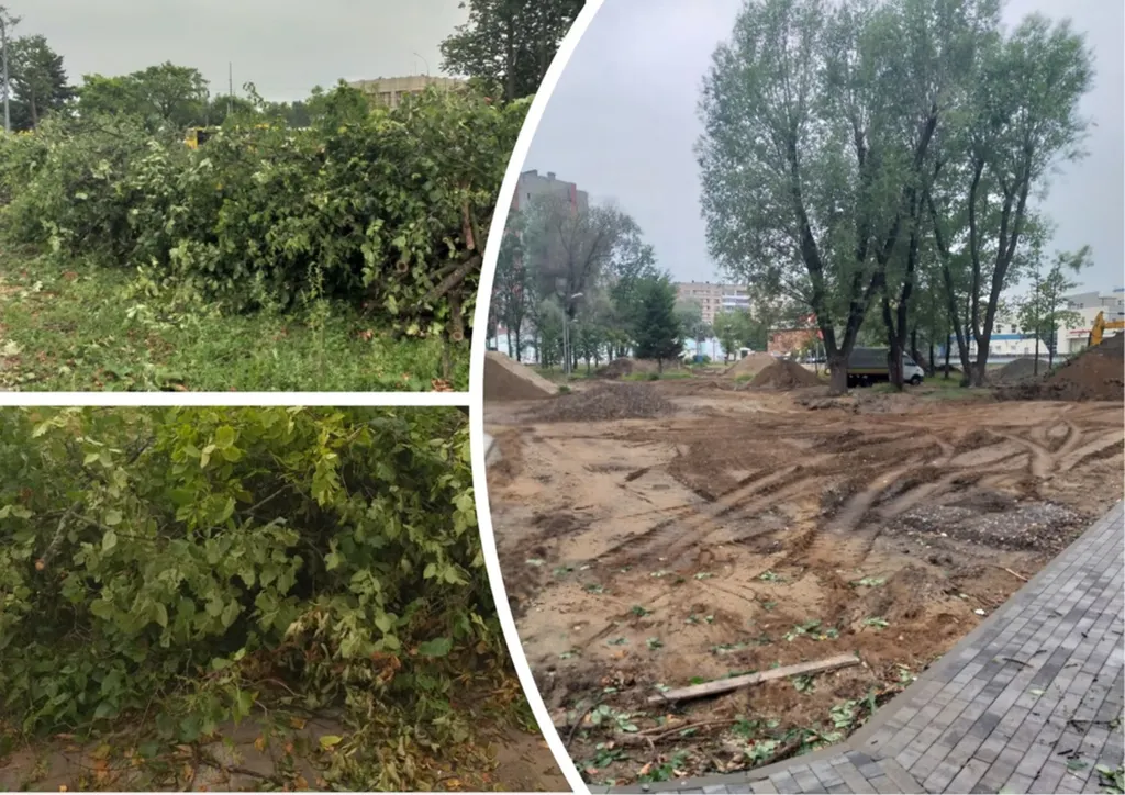 «Мешают трактору»: в ярославском парке подрядчик вырубает липы
