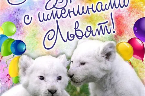 Ярославский зоопарк устраивает праздник белых львят