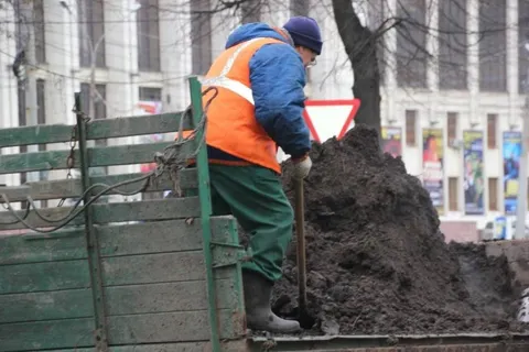 В выходные в Ярославле благоустраивали газоны на проспекте Ленина